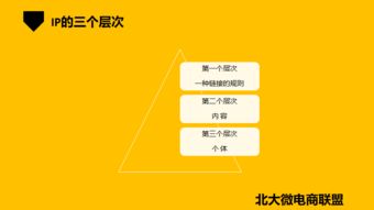 北大微電商聯(lián)盟 移動(dòng)互聯(lián)網(wǎng)時(shí)代的企業(yè)IP與品牌營(yíng)銷(xiāo)新路徑